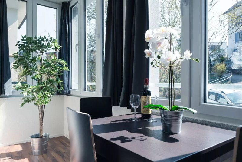HITrental Wiedikon Apartments