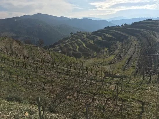 The Priorat Guide
