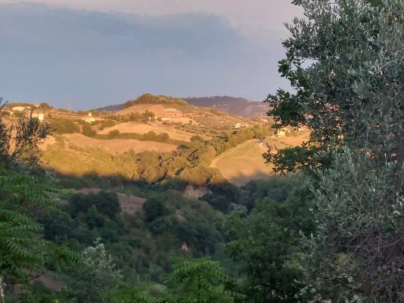 Agriturismo Villa Bussola
