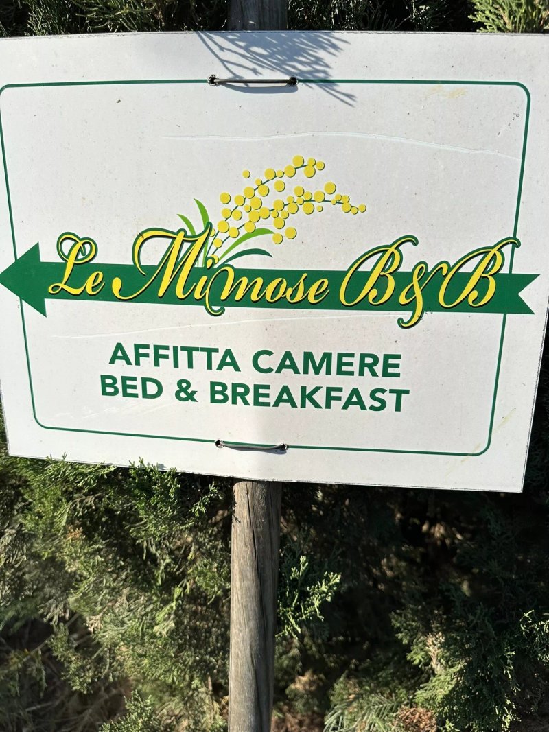 Le Mimose B&B