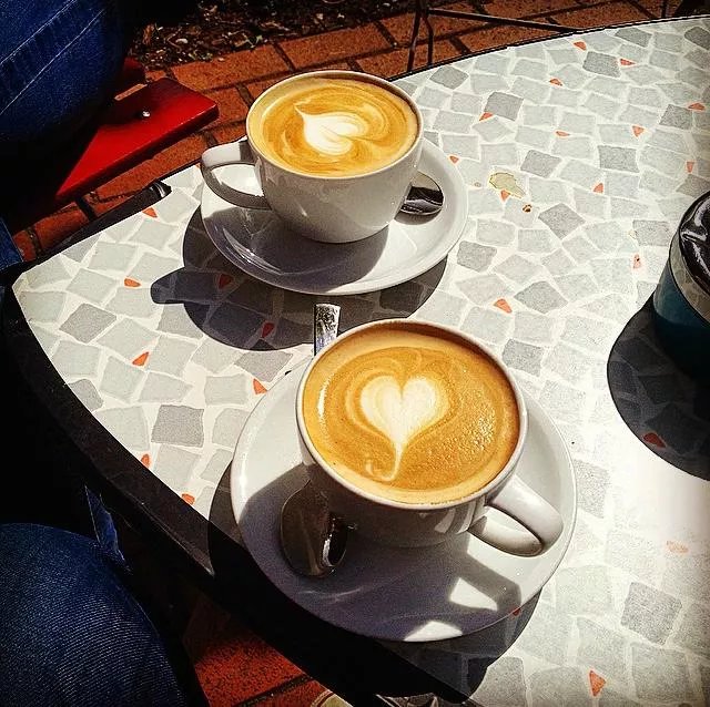24grad - Kaffeerosterei