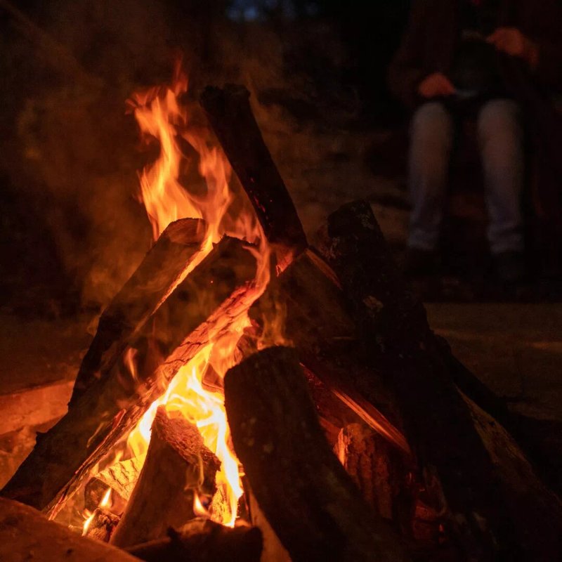 Wild Meadow Glamping at Raynham