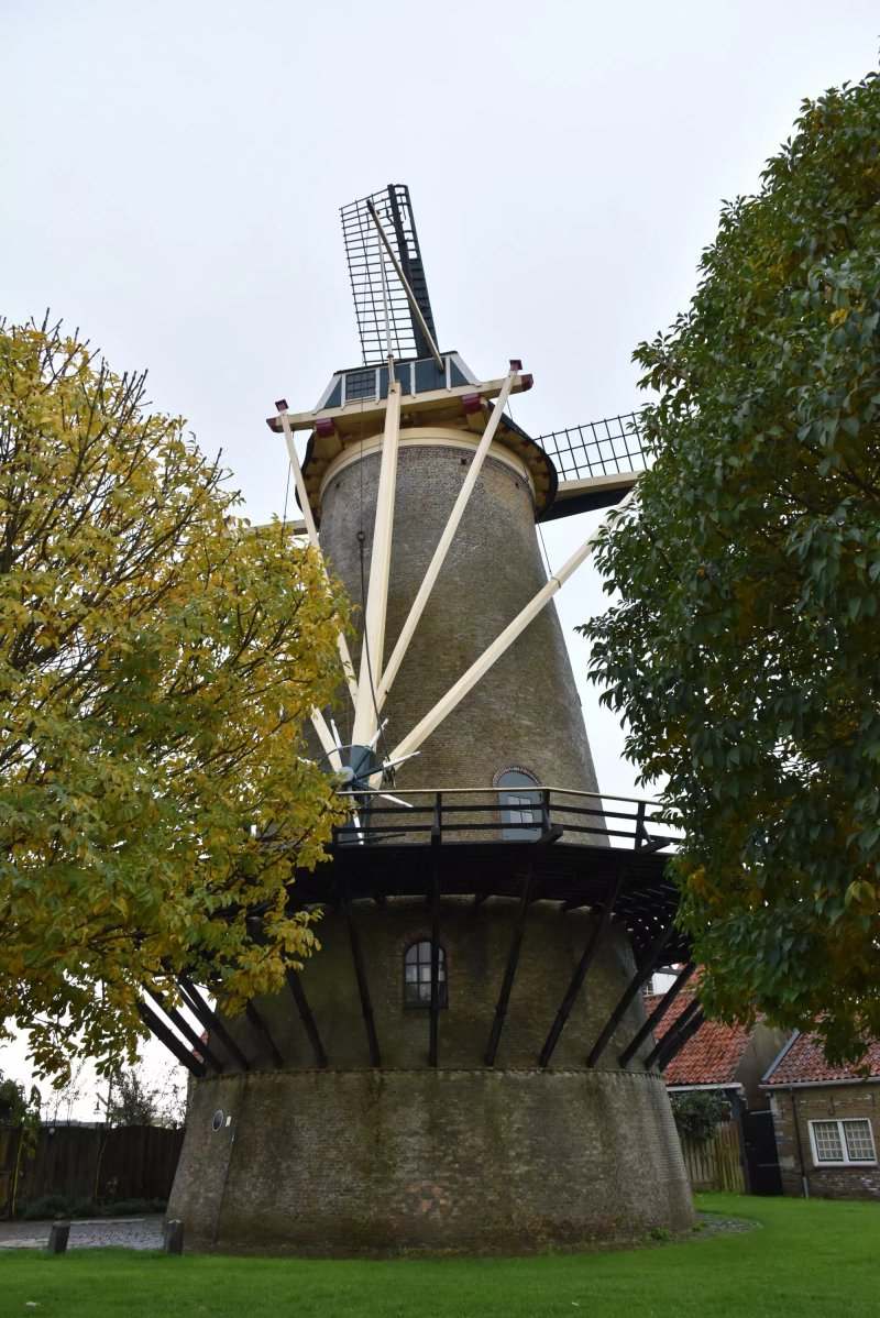 molen Den Haas