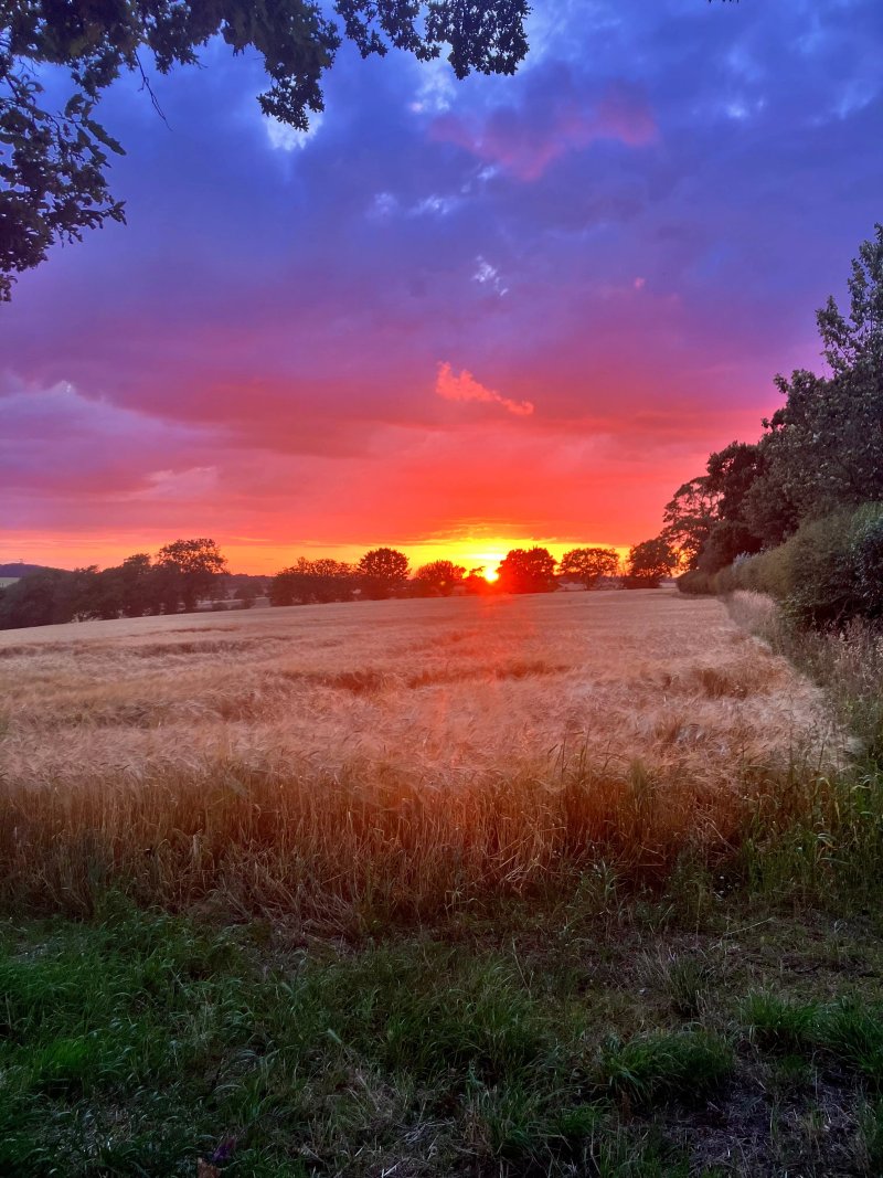 Grange Farm Campsite