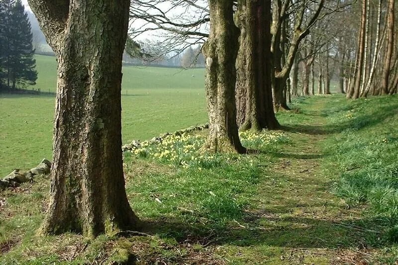 Merlindale  5*  self-contained, two bed/two bath apt. by River Tweed in NSA