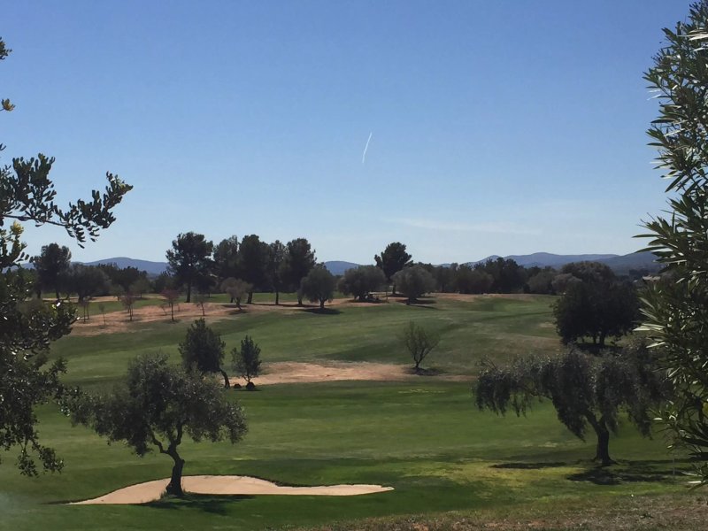 Restaurant El Olivar