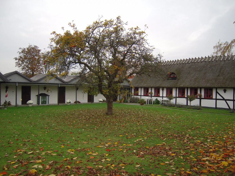 Kirsebaerkroen