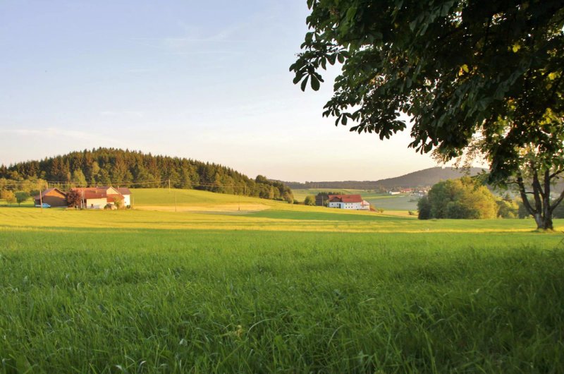 Gasthof-Pension "Zum Haugstein" - Familie Eder