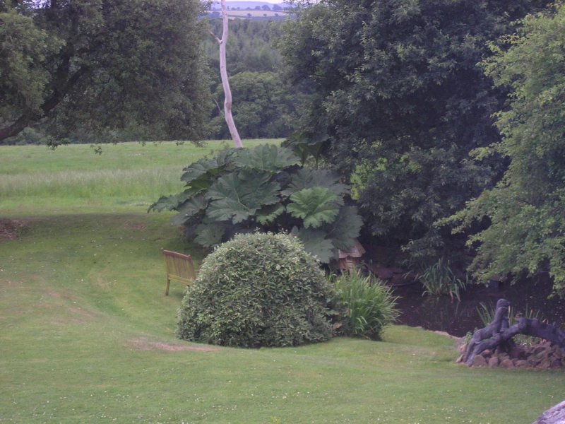 Blagdon Manor Hotel