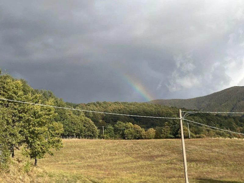 Fattoria Bonaria Montaglioni