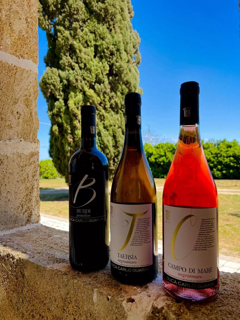 Agriturismo Serresalentine