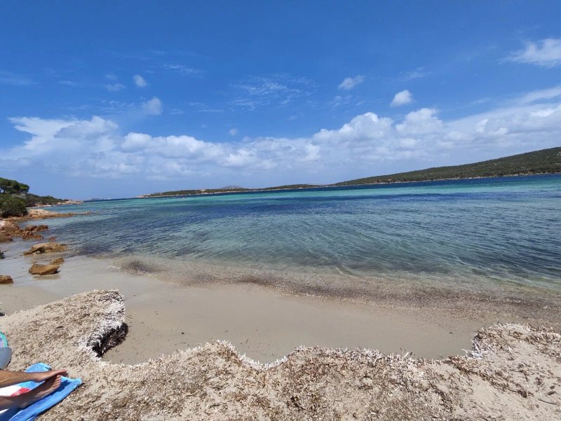 Bassa Marea
