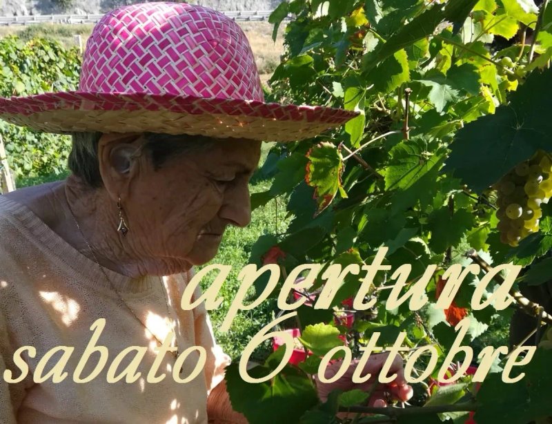 Mazzuchin Azienda Agricola e Agriturismo