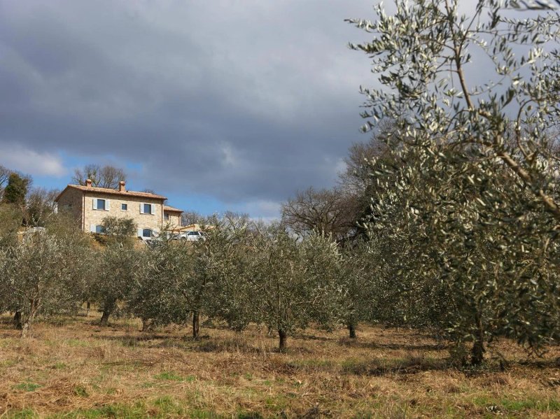 Locanda di Doris