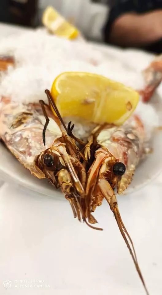 Ristorante Pizzeria Albergo Verde Mare