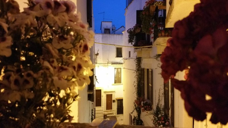 Accogliente Dimora