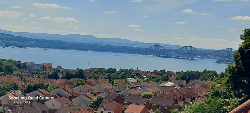 The Bay and Bridge