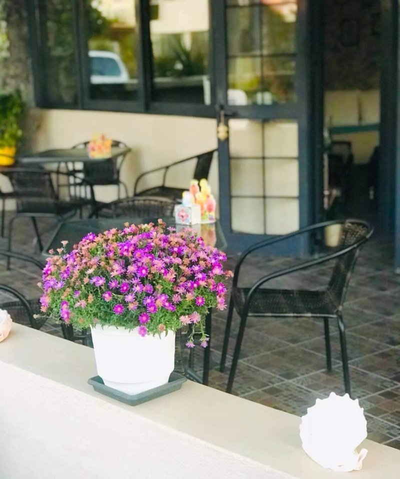 LOCUS All Day Bar - Bistro