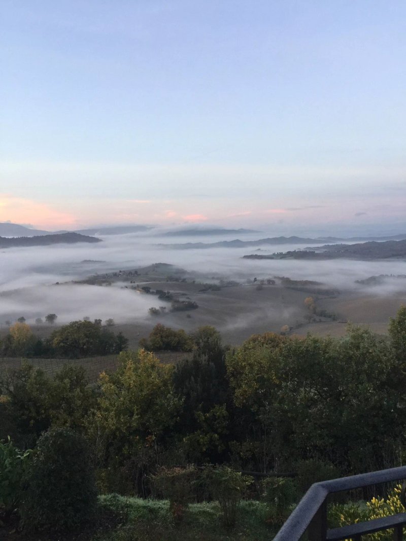 Tenuta Colombaio - Casole D'elsa