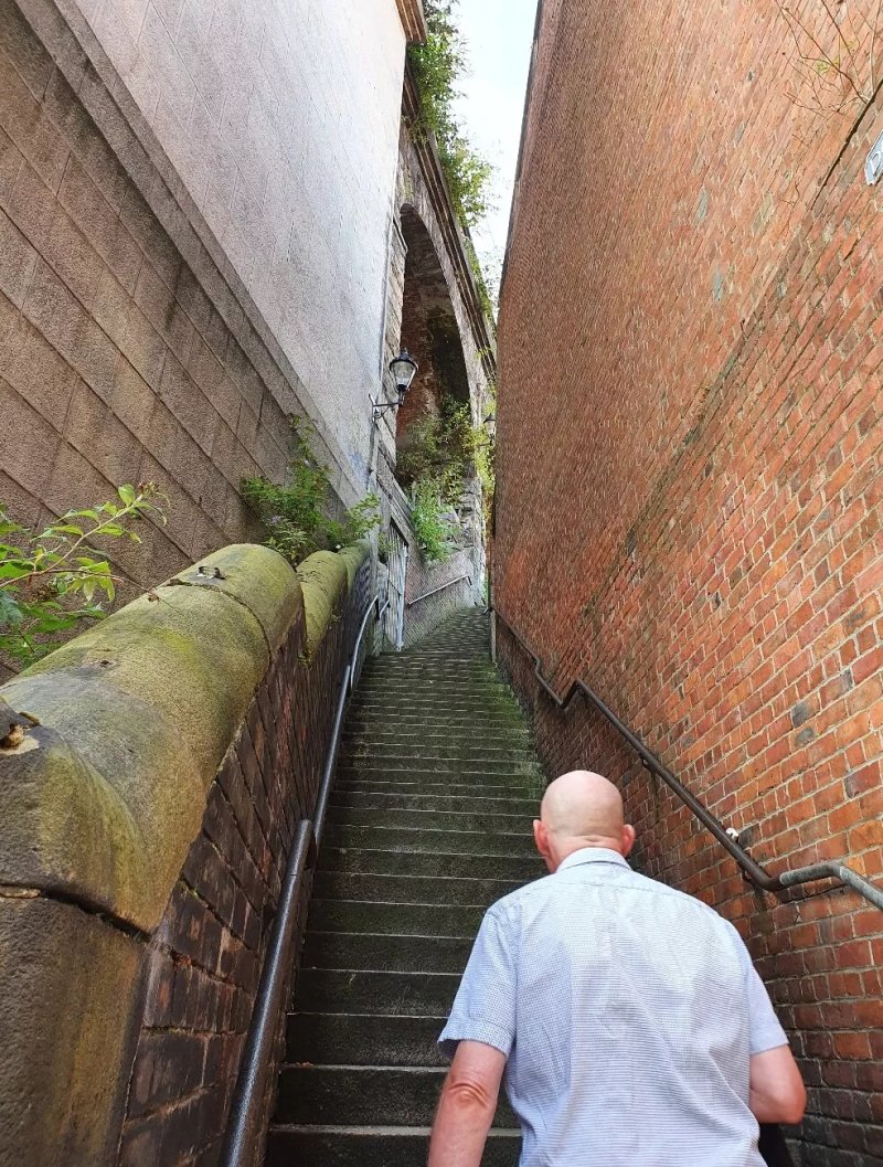 Dog Leap Stairs