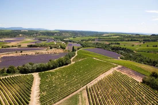 Domaine Jaume