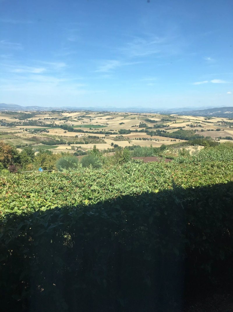 Il Posto delle More