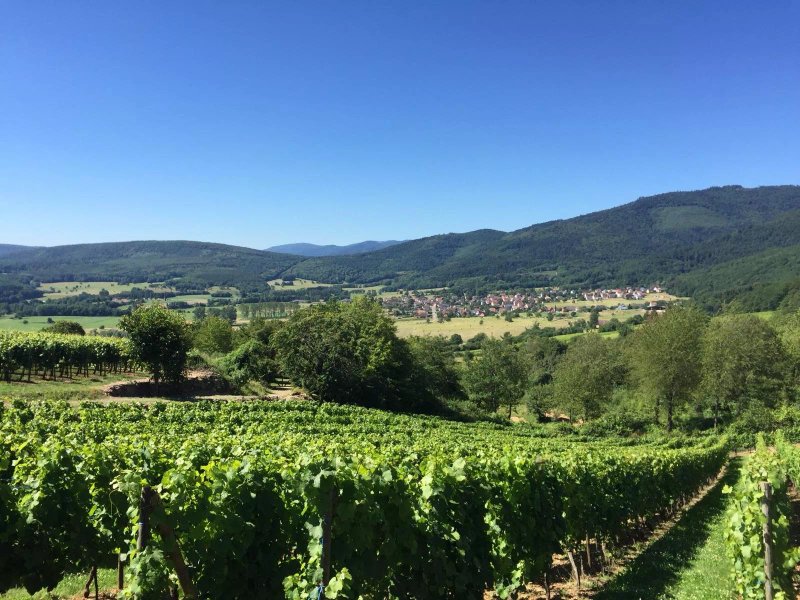 Camping D'osenbach