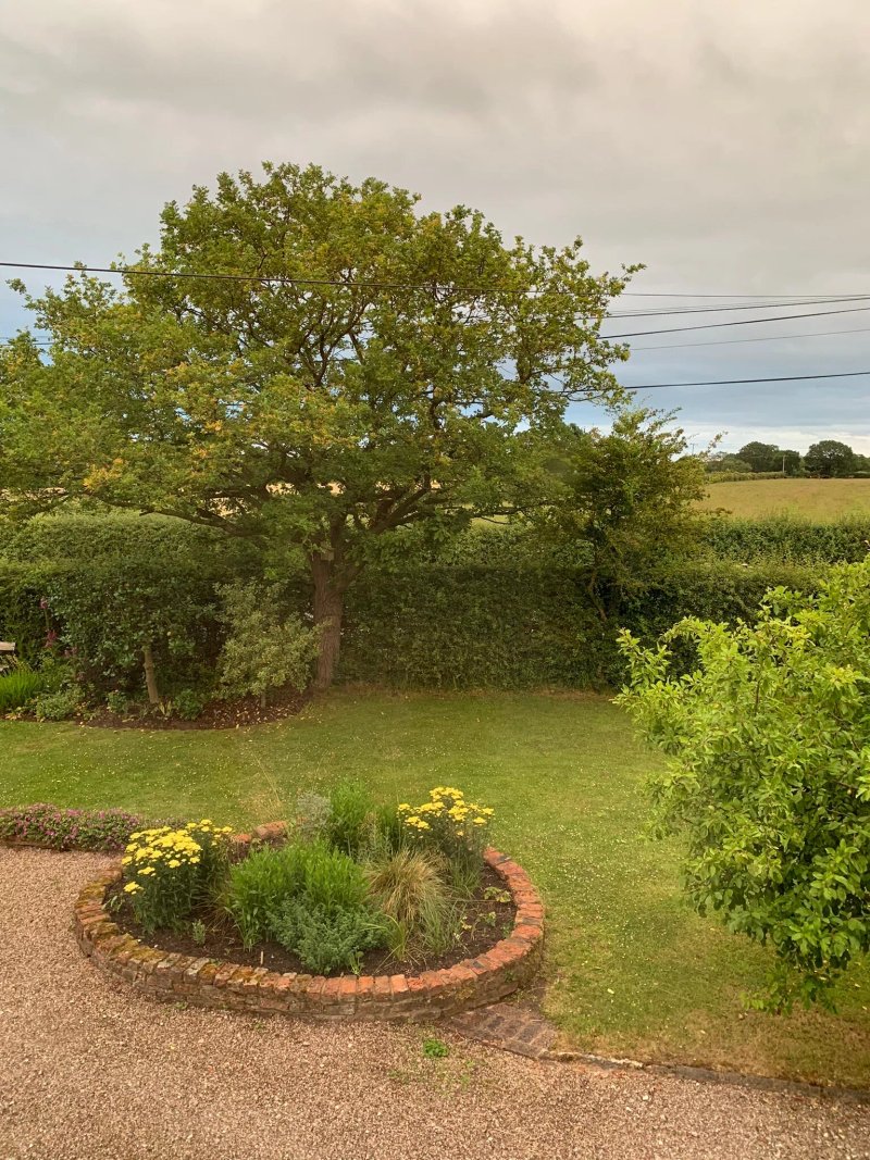 Fernlea Cottage Bed & Breakfast