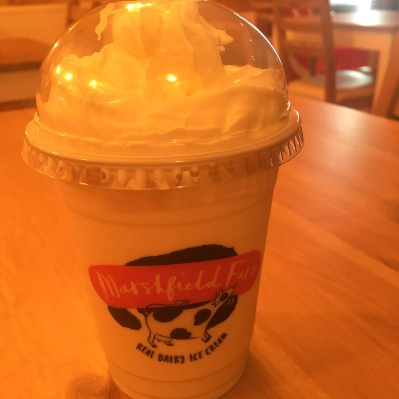 Tasty Treat Easton