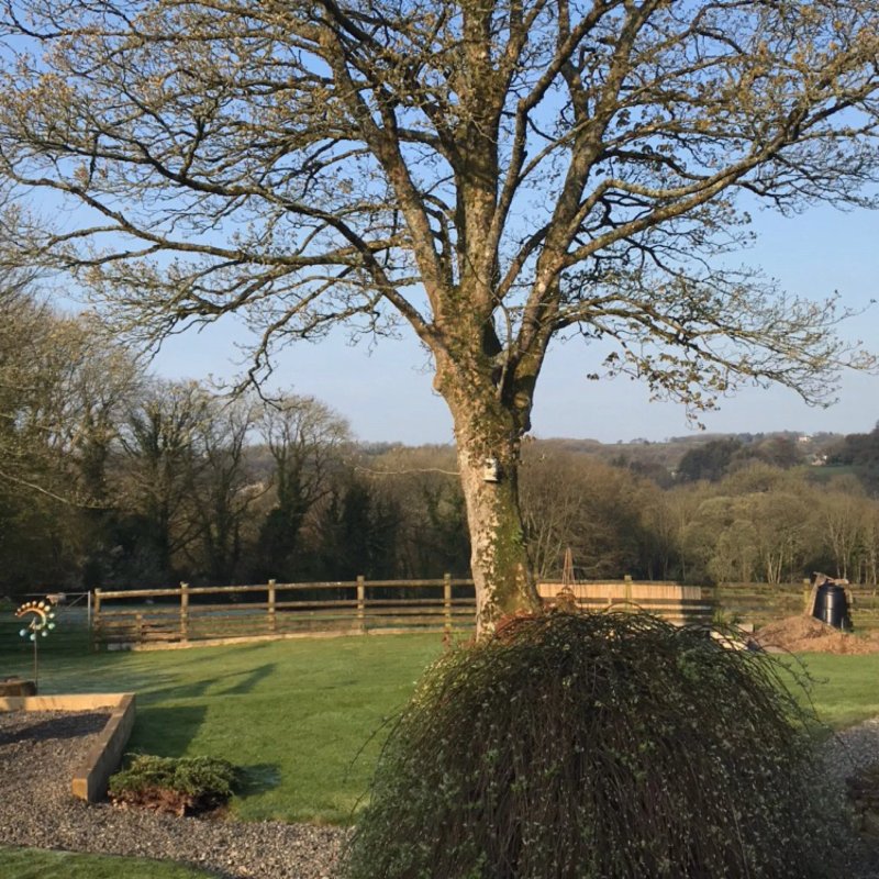 Stone's Throw bed and breakfast