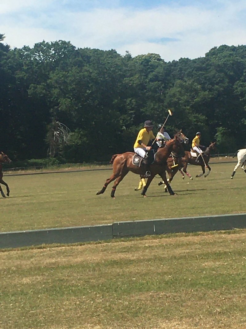 New Forest Polo Club