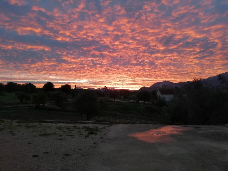Agriturismo Il Girasole