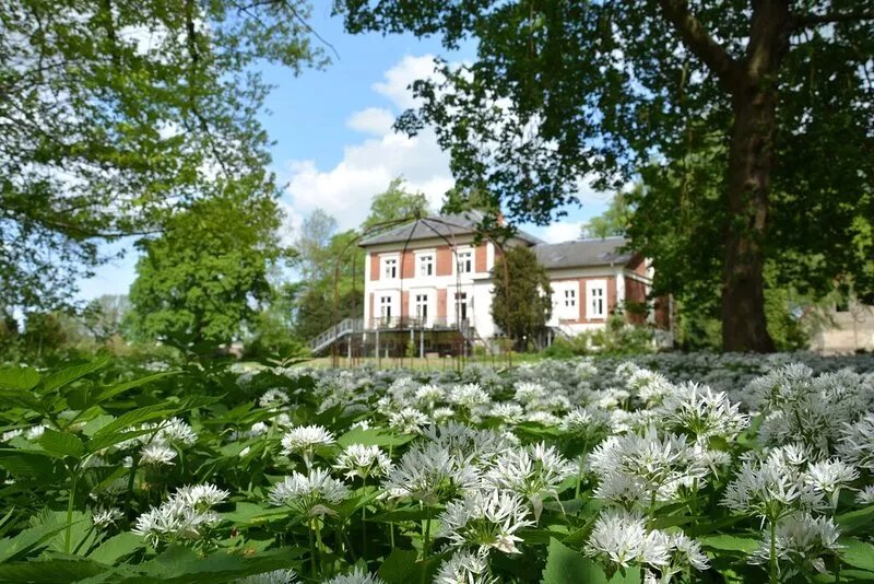 English charm - apartment in a historic manor house