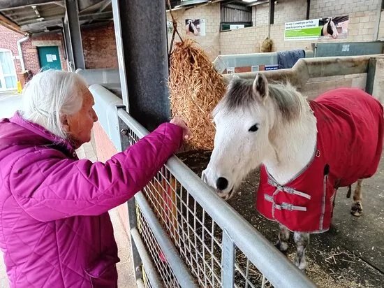 World Horse Welfare Penny Farm