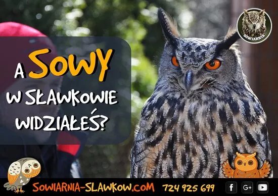 Sowiarnia Slawkow