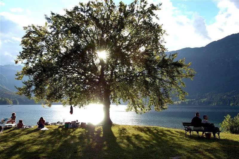 Hostel Pod Vologom