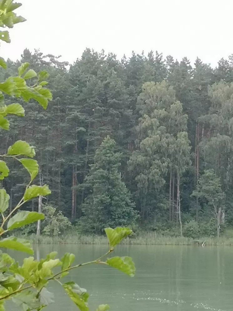 Złota Łania Wiartel Resort & SPA