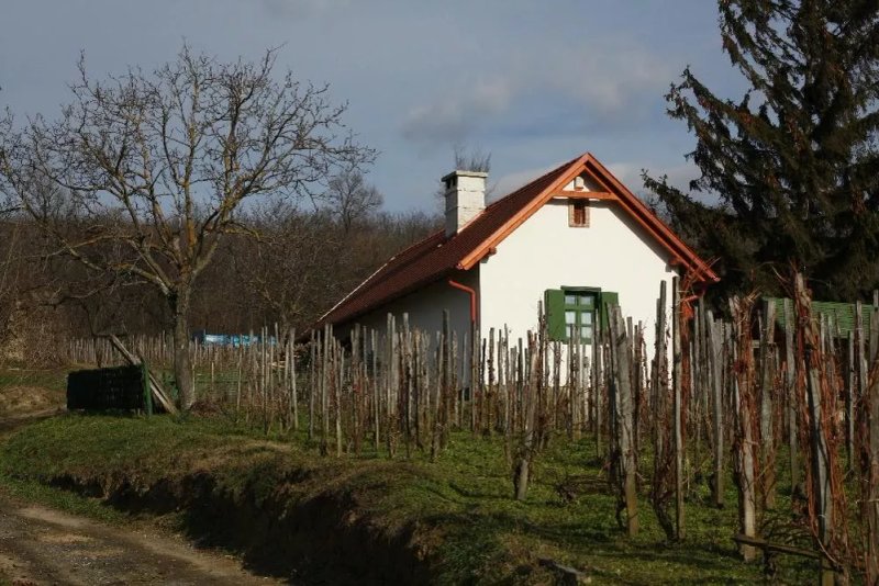 Oreghegyi Apartman