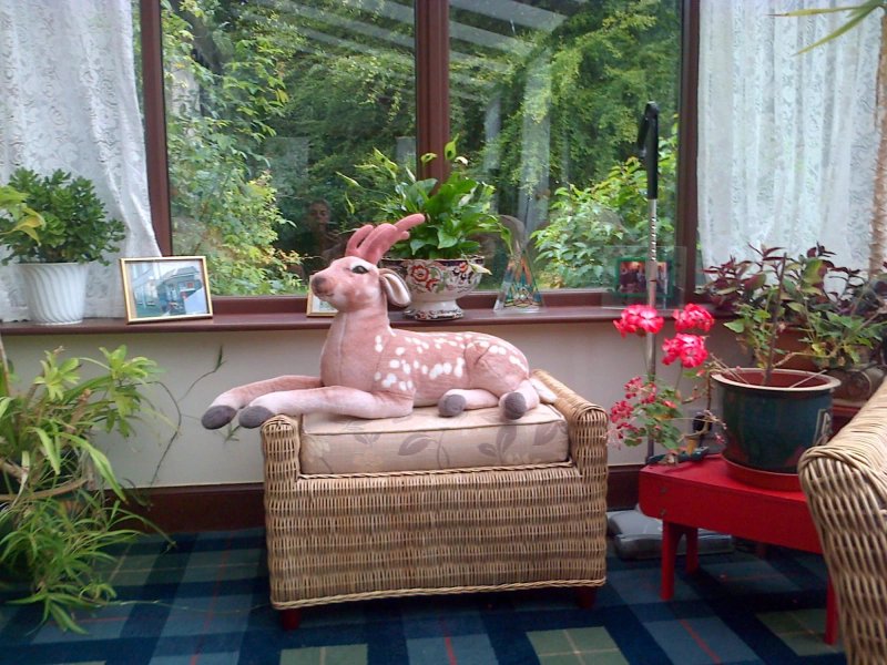 The Gardens B&B