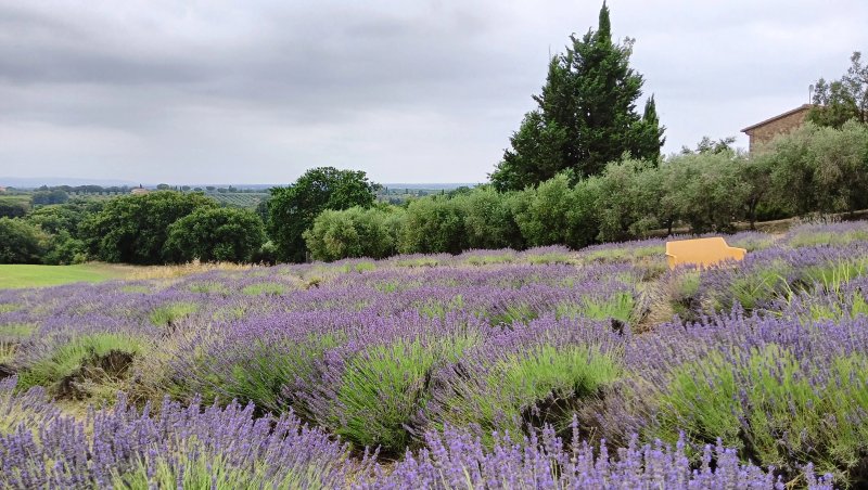 Agriturismo Valicandolina