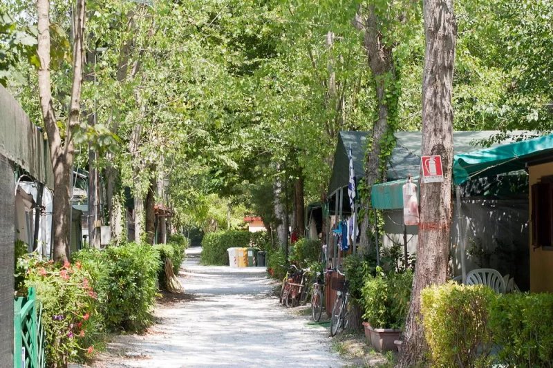 Bosco Verde Camping