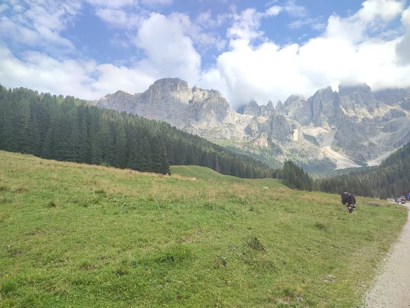 Malga Venegia