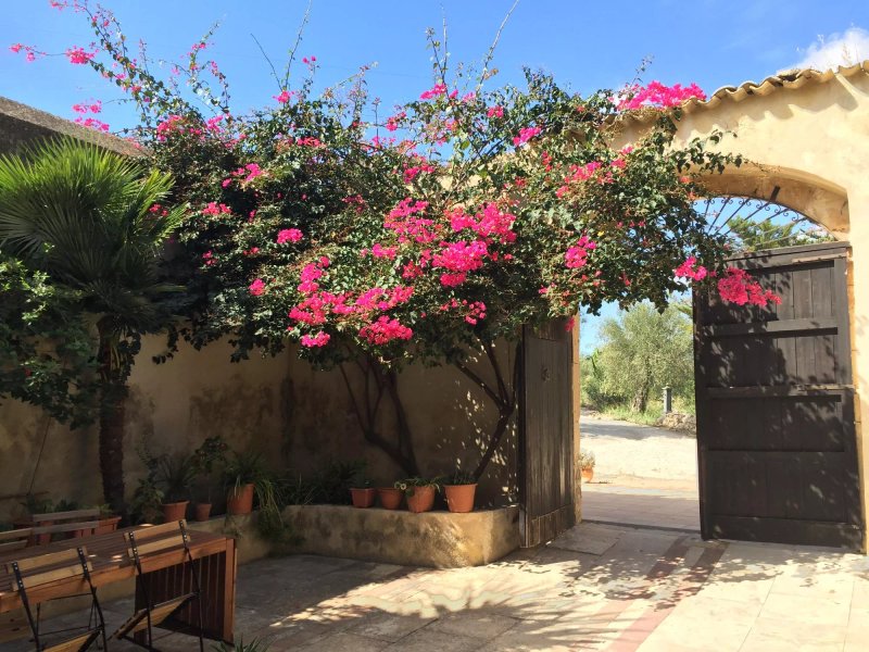 Agriturismo Bio-Ecologico Terra di Solimano