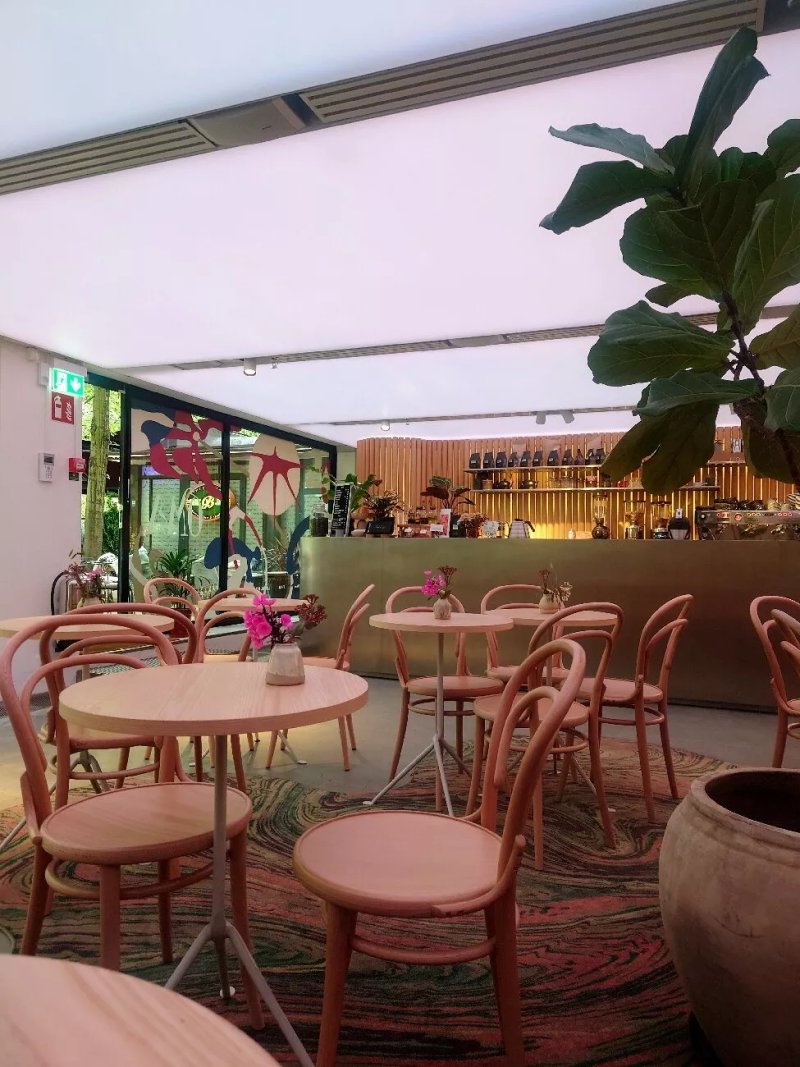 Oma Stockholm Kungstradgarden