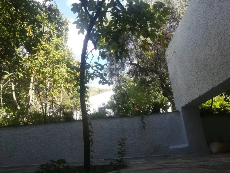 Nefi Guesthouse