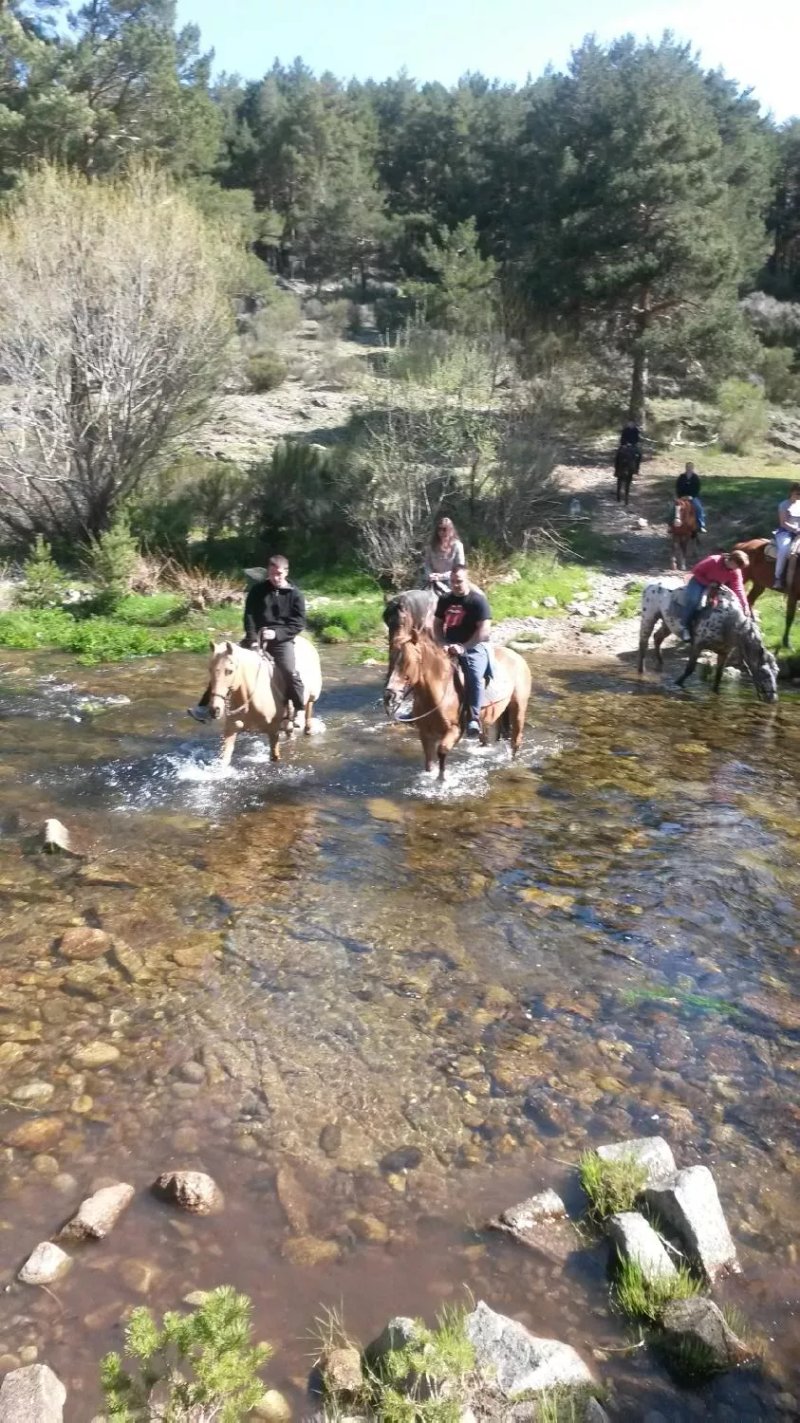 Centro de Turismo Rural Altogredos