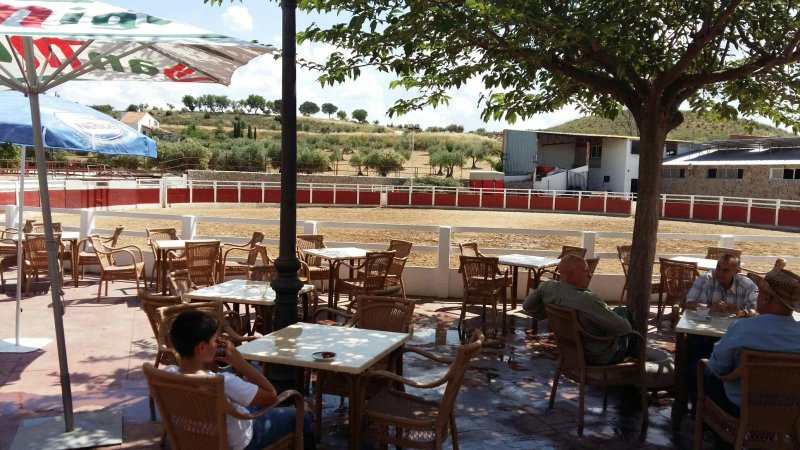 Restaurante Los Jarales