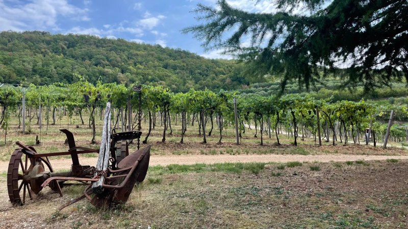 Massimago Winery and Country Relais
