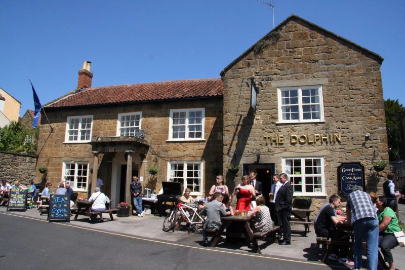 The Dolphin
