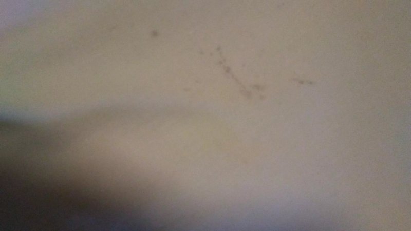 Travelodge Swansea M4